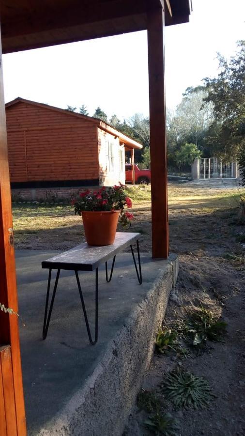 Cabanas Los Platanos Ла-Гранха Экстерьер фото