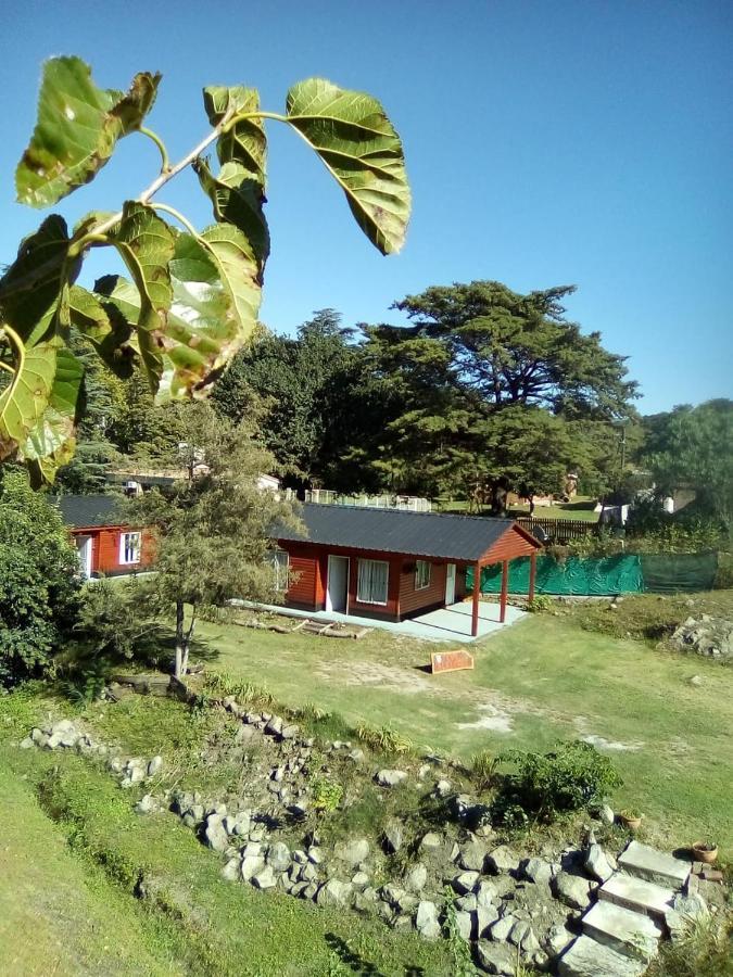 Cabanas Los Platanos Ла-Гранха Экстерьер фото