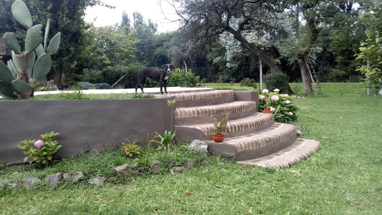 Cabanas Los Platanos Ла-Гранха Экстерьер фото